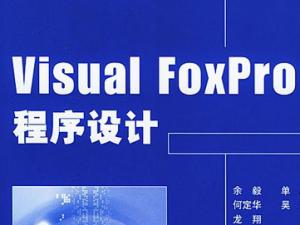 VF視頻教程 Visual Foxpro